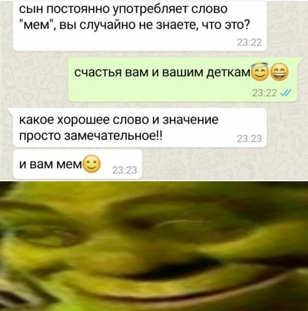 Огромный текст мем. Мемы с текстом. мемы со словами. мем с текстом. мем со словами.