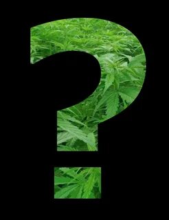 Flower questions