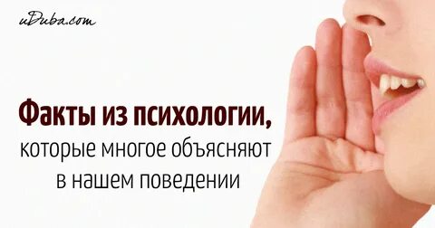 Интересные факты о психологии