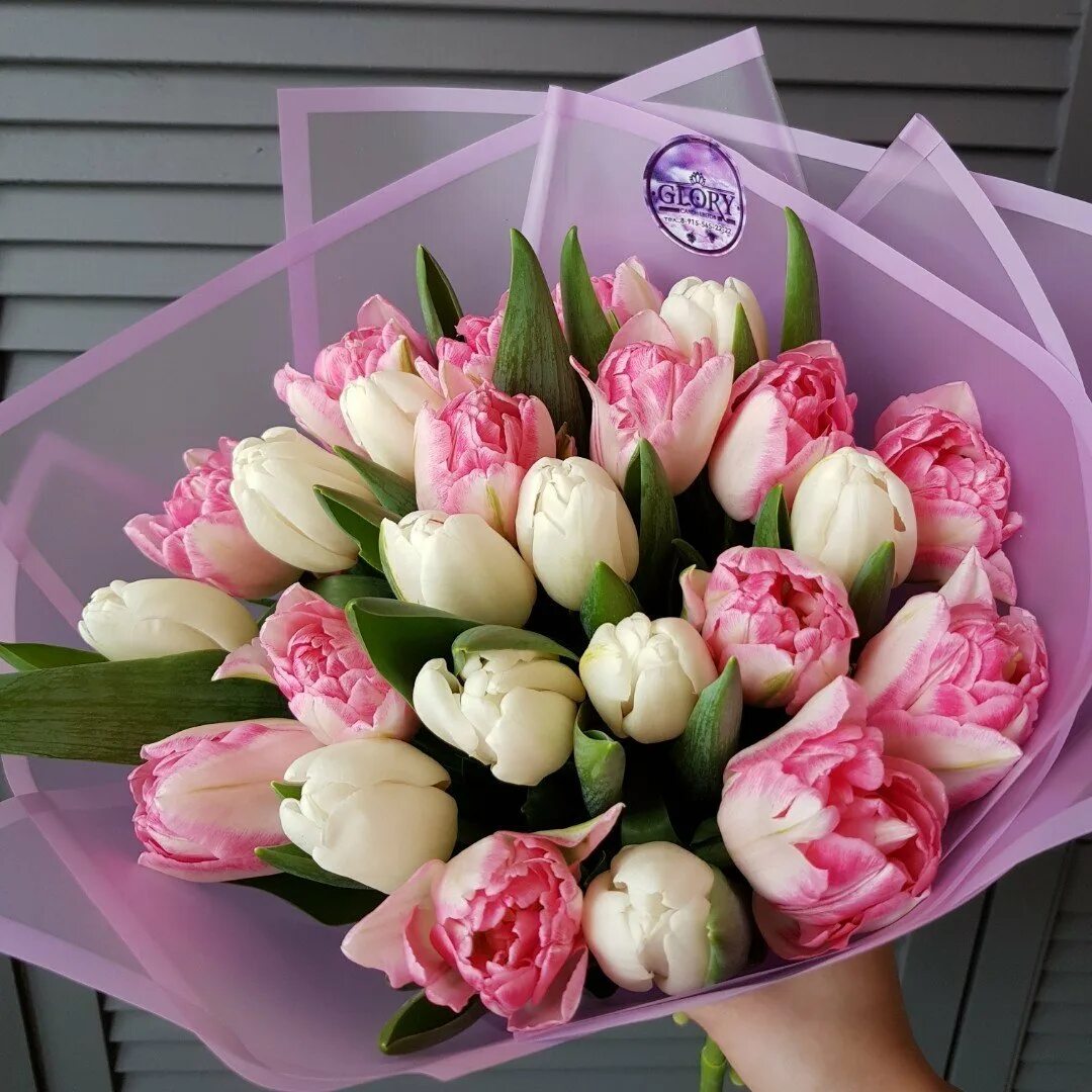 51 пионовидный тюльпан. Букет тюльпанов. Букет из 4 тюльпанов. Букет пионовидных тюльпанов. 51 тюльпан микс.