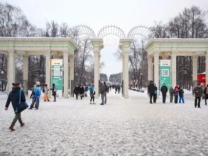 Сокольники парк в выходные