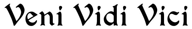 Пришел увидел победил значение. Надпись Veni vidi Vici. Татуировка Veni vidi Vici. Вени види Вичи тату. Veni vidi Vici эскиз.