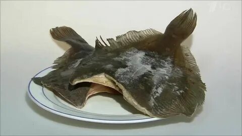 Камбала без запаха