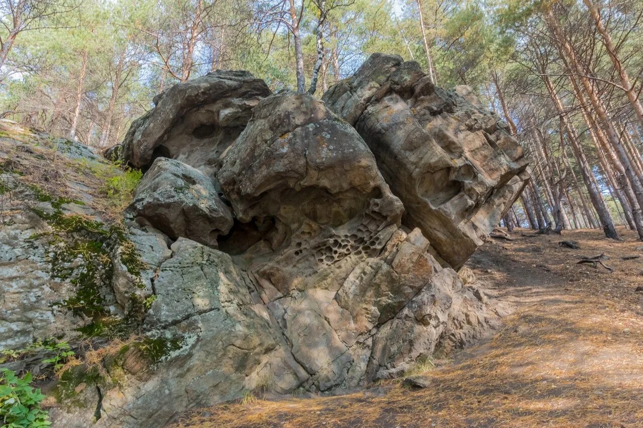 Скалы похожие на динозавров. Страшные лица из скалы ке. Скала похожая на медведя в Украина. Скалы похожие на людей