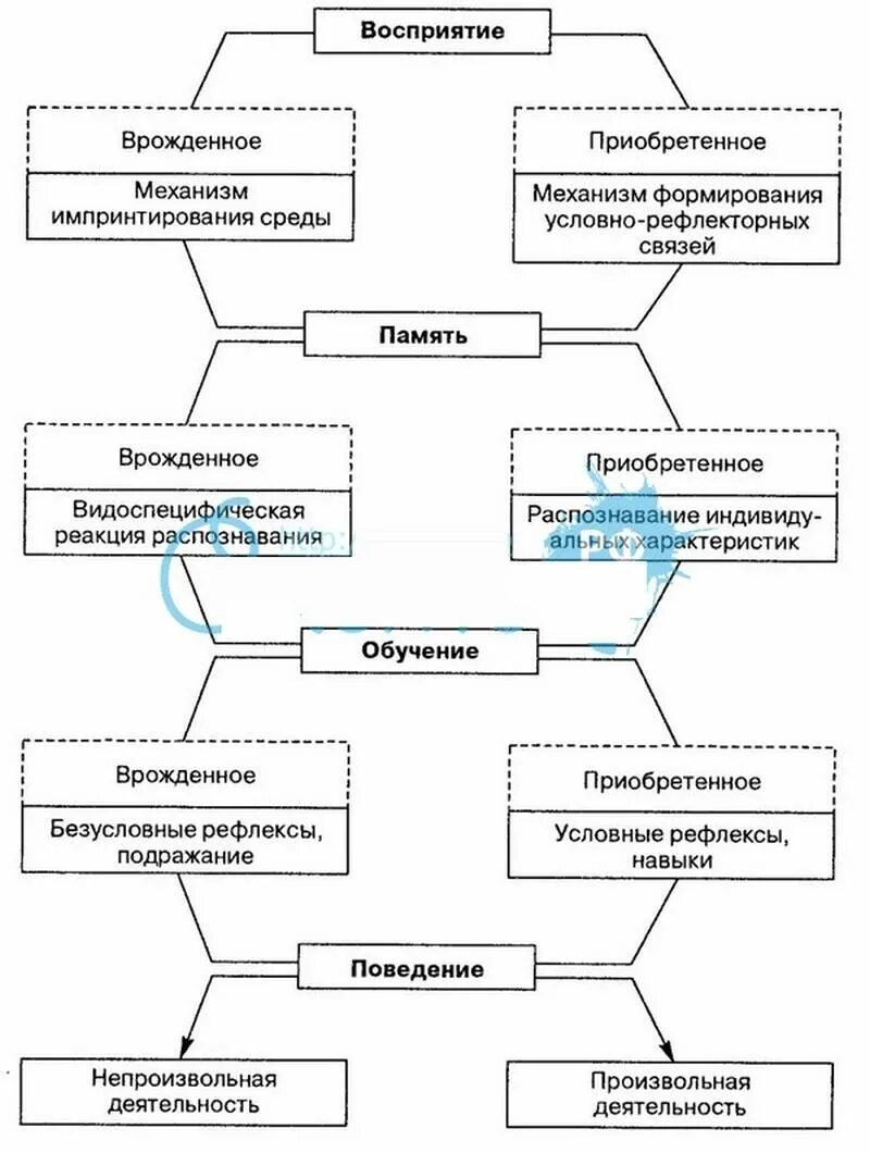 Врождённое и приобретённое поведение схема. Проблемы врожденного и приобретенного в психологии. Врожденные формы поведения. Врожденные и приобретенные.