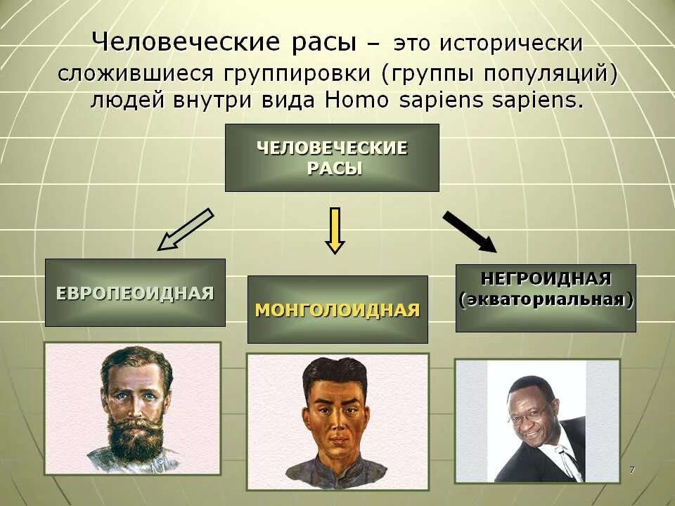 какие расы есть на земле. человеческие расы. люди европеоидной и монголоидной расы. 4 основные расы человека. расы людей.