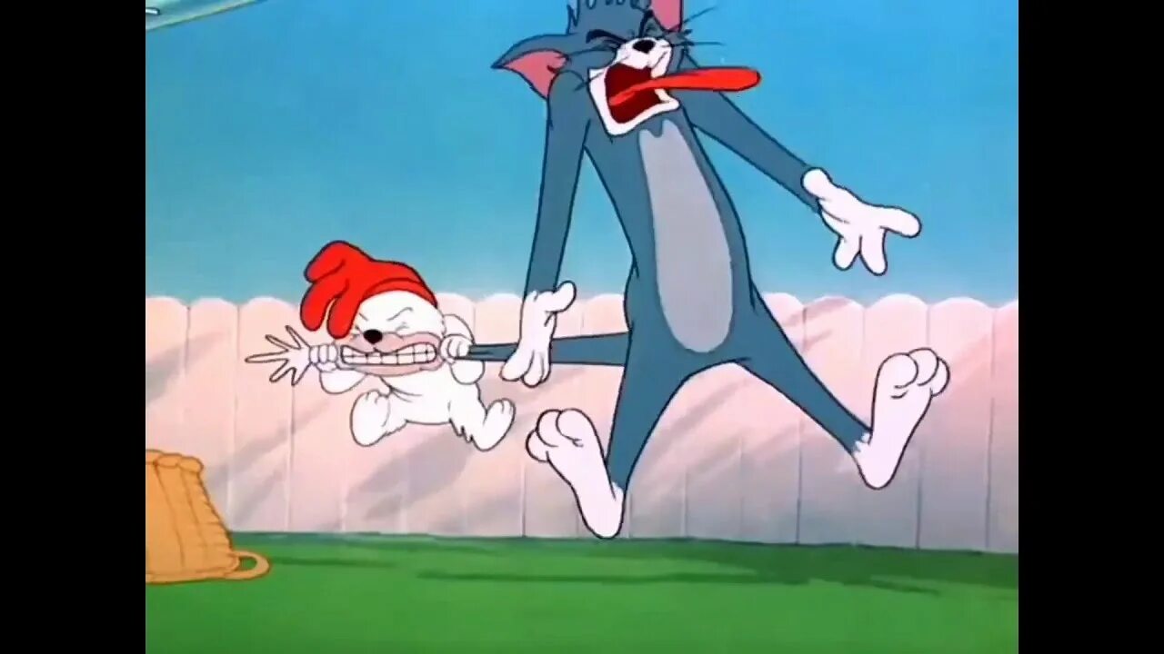 Tom scream. Tom and Jerry крик. Крик Тома из том и Джерри. Том и Джерри кричит. Том кричит.