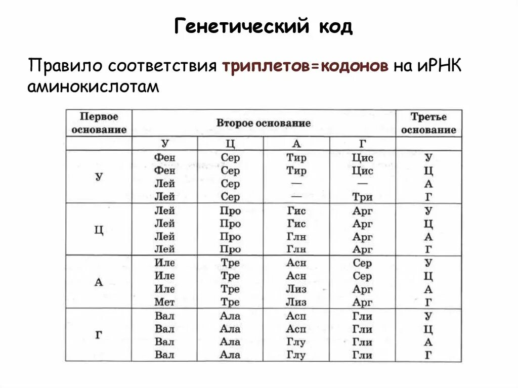 Соответствие аминокислот кодонам. Таблица генетического кода ИРНК. Аминокислоты генетический код. Генетический код триплет.