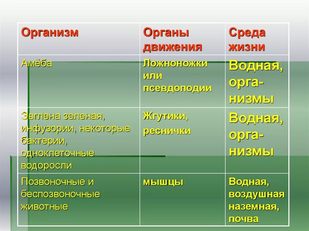 Особенности передвижения животных. Способы движения животных. Способы движения животных биология. Движение организмов таблица. Способ и Тип передвижения животных.