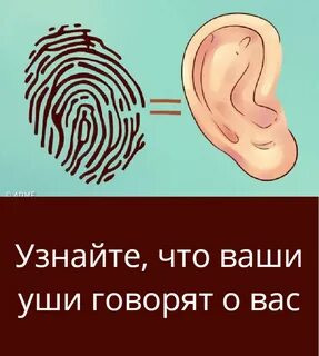 Скажи ухо