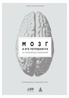 Дубынин мозг и потребности