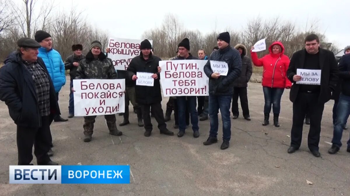 Погода терновка воронежская на неделю. Митинг в Воронежской области. Терновка (Терновский район). Село Терновка Воронежская область. Терновская барахолка Воронежская область Терновский район.