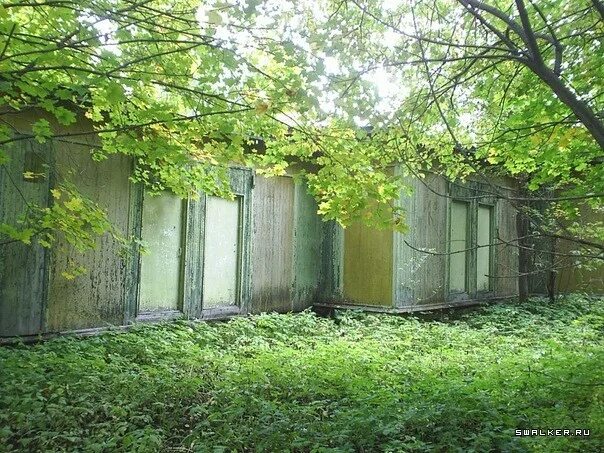 Тихий уголок костромская область. Санаторий березка сухоногово. Дом отдыха тихий уголок костромская. Лагерь тихий уголок кострома. Кострома дом отдыха тихий уголок.