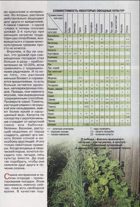 Таблица посадки овощей в открытый. Схема посадки овощных культур таблица. Таблица совместимости овощных культур при посадке на огороде. Таблицы посадки в теплицы. Таблица совместимости растений на грядке.