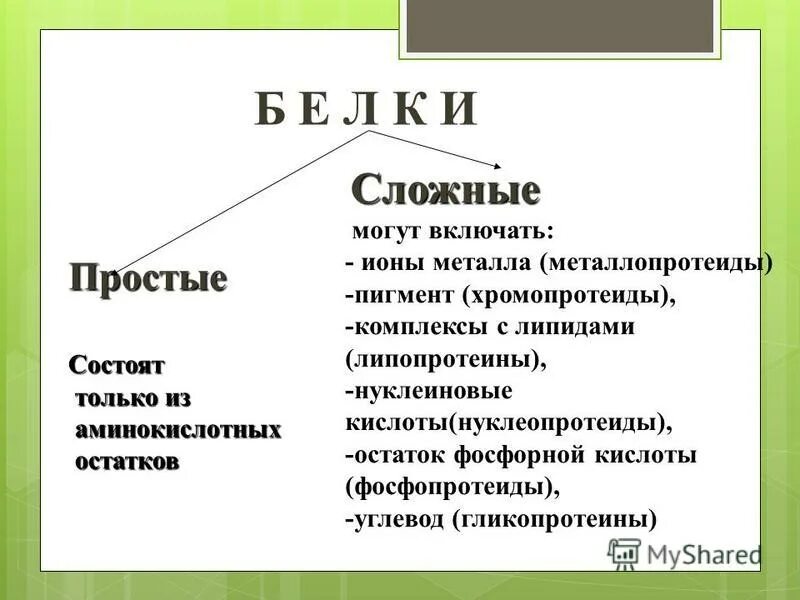 Сложные белки группы. Сложные белки. Примеры сложных белков. Сложные белки фосфопротеиды и металлопротеиды. Сложные белки примеры.