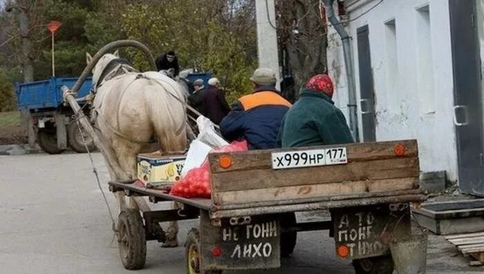 Телега смешная. Телега юмор. Телега прикол. Телега с номерами.