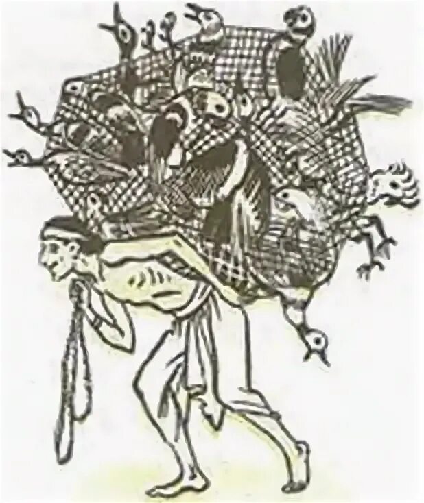 Индийская сказка птиц. Ссора птиц индийская сказка. Иллюстрации к индийской сказке ссора птиц. Индийская сказка ссора птиц презентация. Иллюстрации к индийским сказкам.
