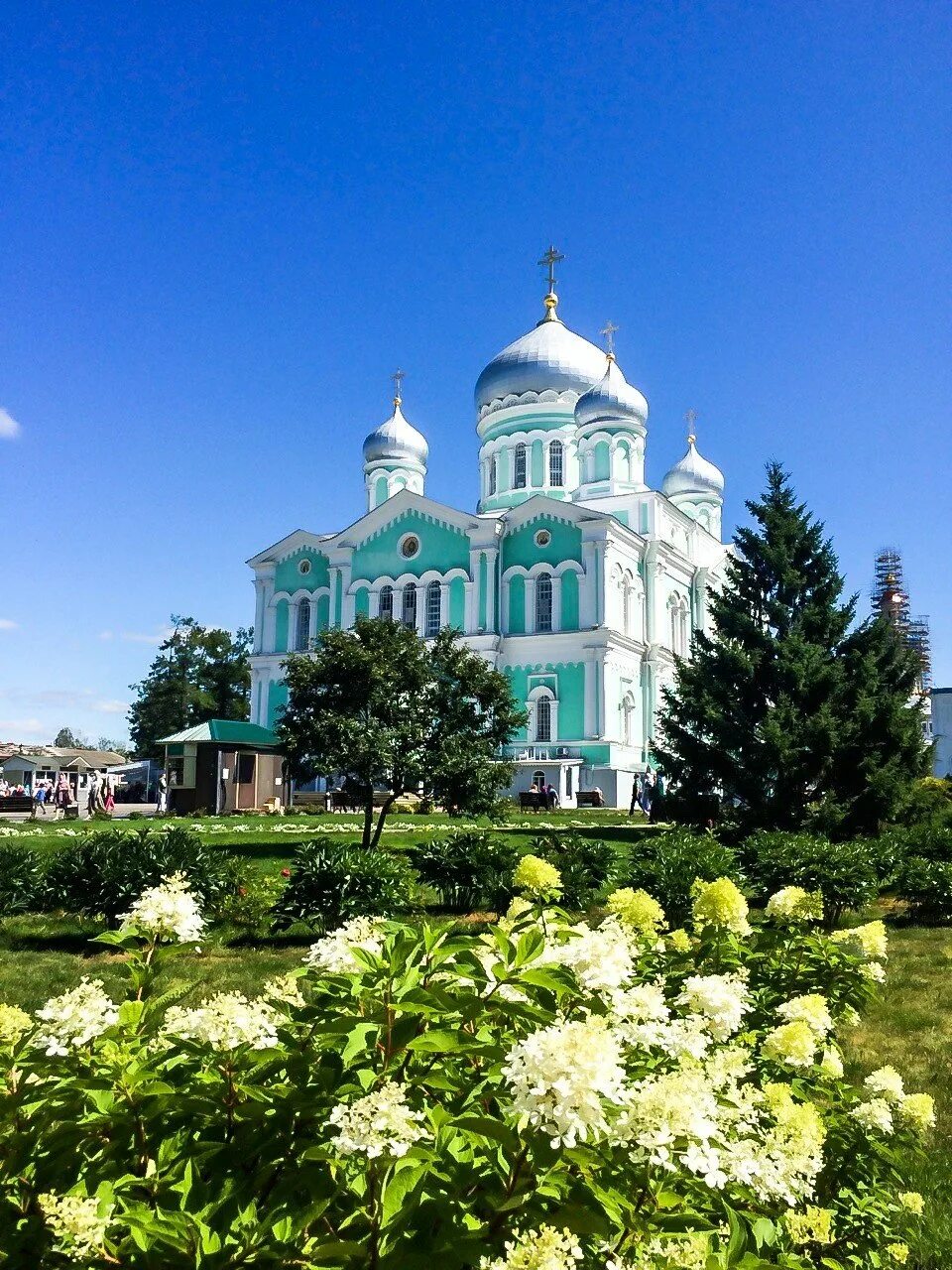 Аптека дивеево. Аптека дивеево