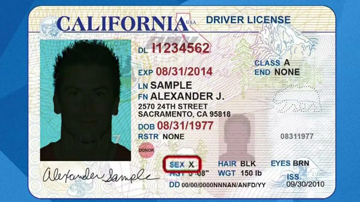 License us. California Driver License. Американский ID Card California.