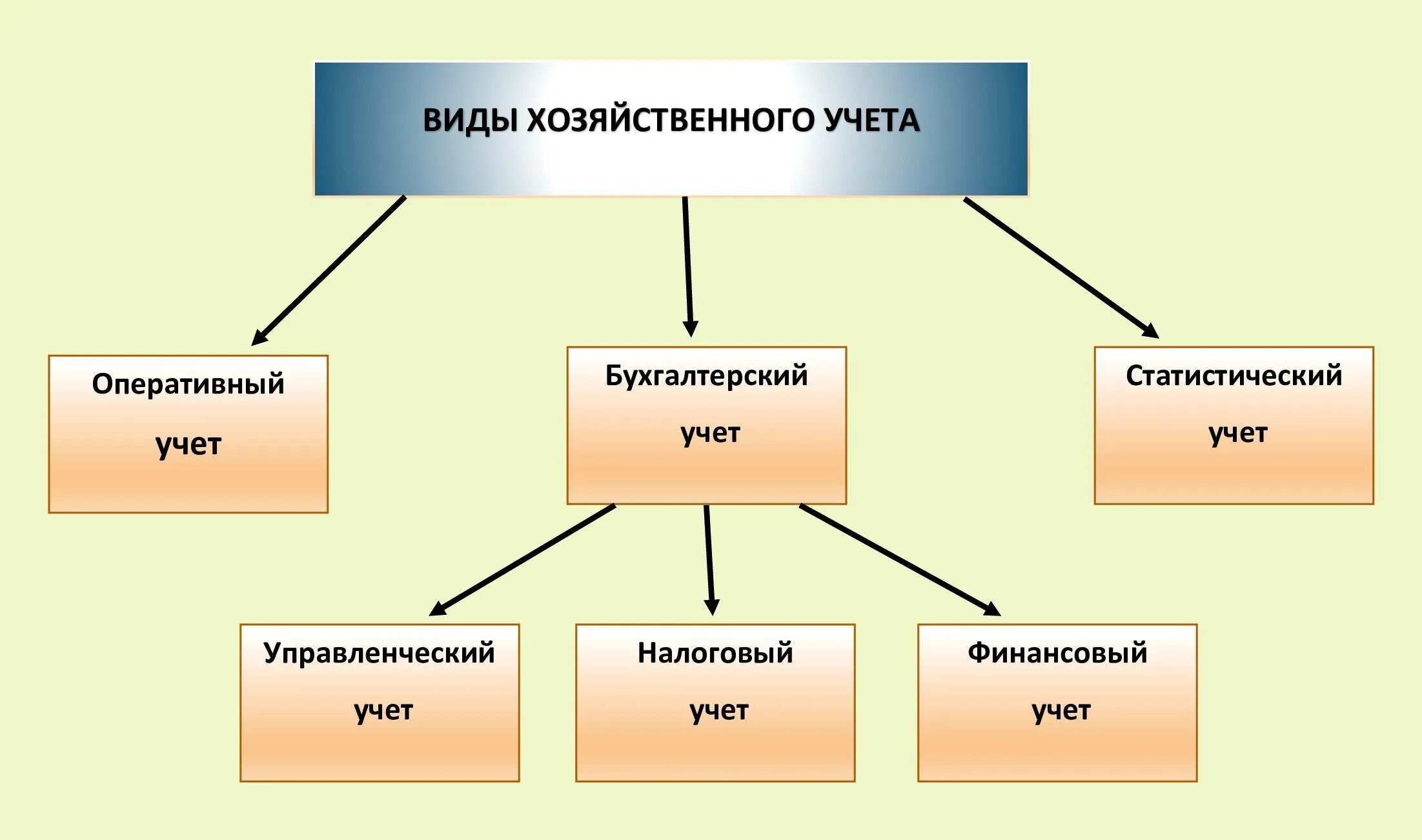 Хозяйственный УЧЁТВИДЫ. Виды Хозяйсвтенного учёта. Виды хозюучета. Виды хоз учета. Распорядиться хозяйственный