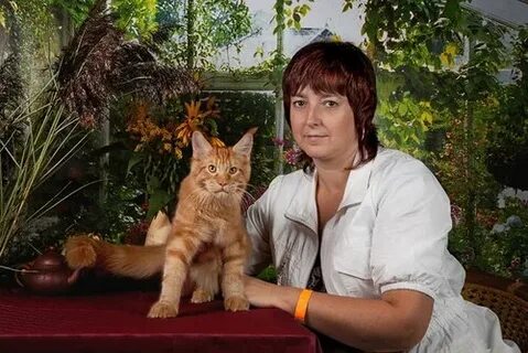 Кунов краснодар