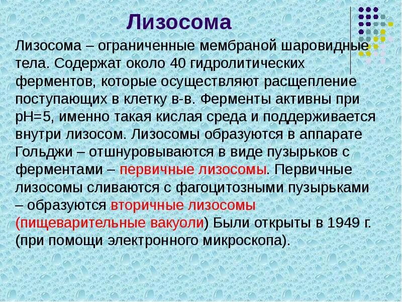 Гидролитические ферменты лизосом