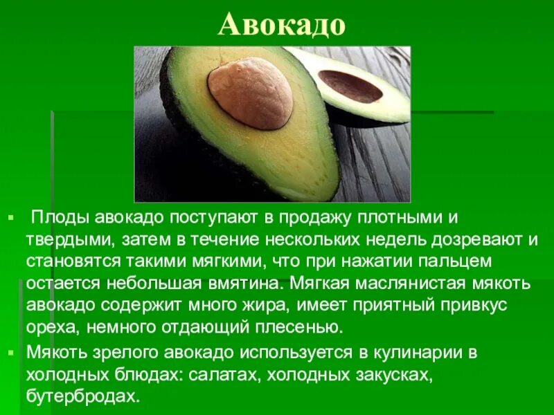 Твердый авокадо дозреет. Строение авокадо. Строение семени авокадо. Строение плода авокадо. Строение плода картинка авокадо.