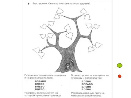 Ориентировка 4