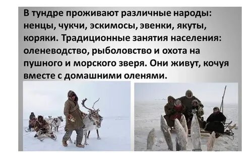 Какие трудности преодолевают люди в тундре