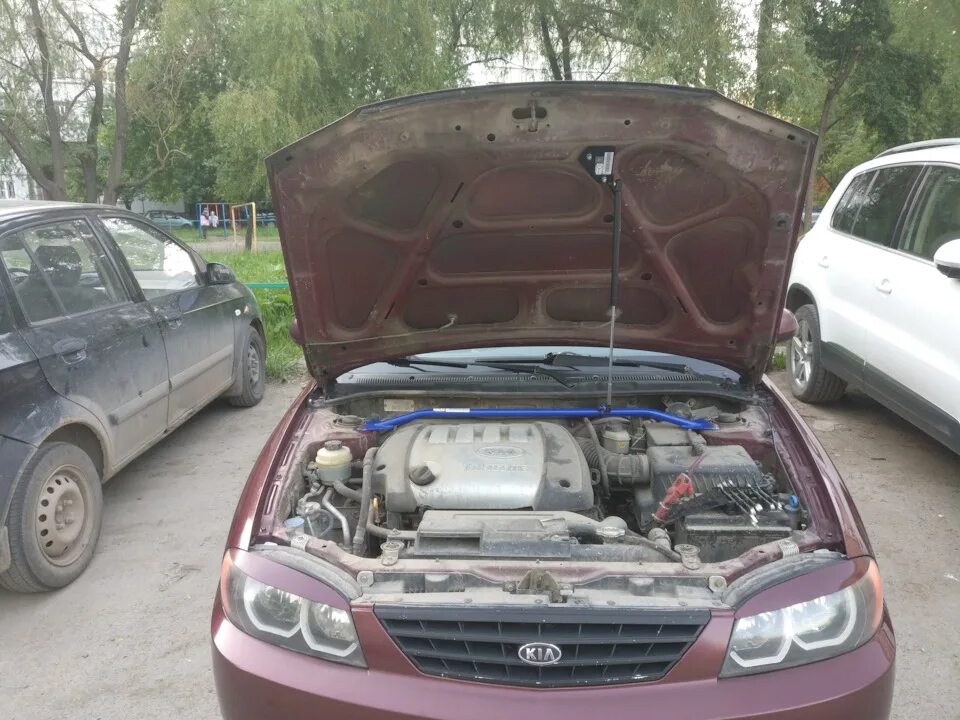 Газовые упоры капота Киа спектра. Газовый упор капота Kia Spectra. Капот Киа спектра 2007. Упор капота Киа спектра.