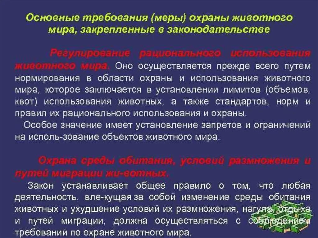 Почему важно уделять внимание охране диких животных