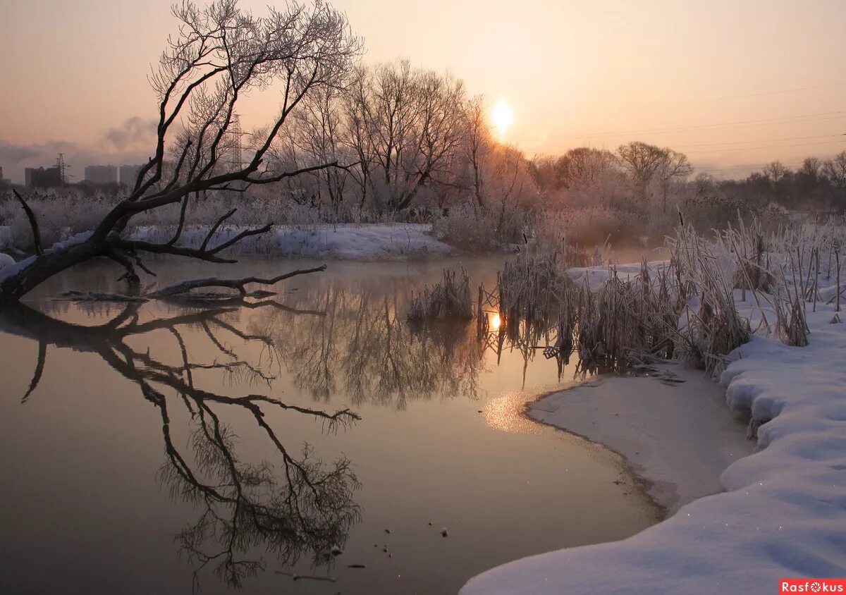весенний закат. весенний пейзаж. утро ранней весны. март пейзаж. утро ранней весны.