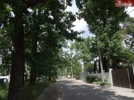 Дубовая воронеж