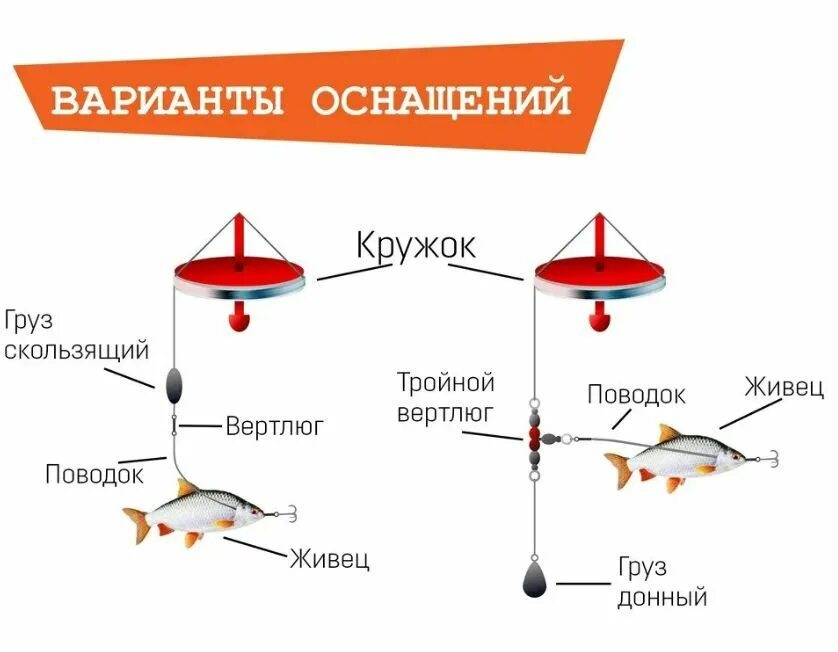 Ловля на живца Только про рыбалку Дзен
