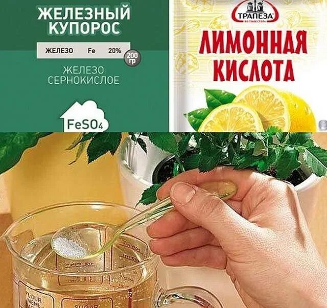 Приготовьте с помощью лимонной кислоты домашний