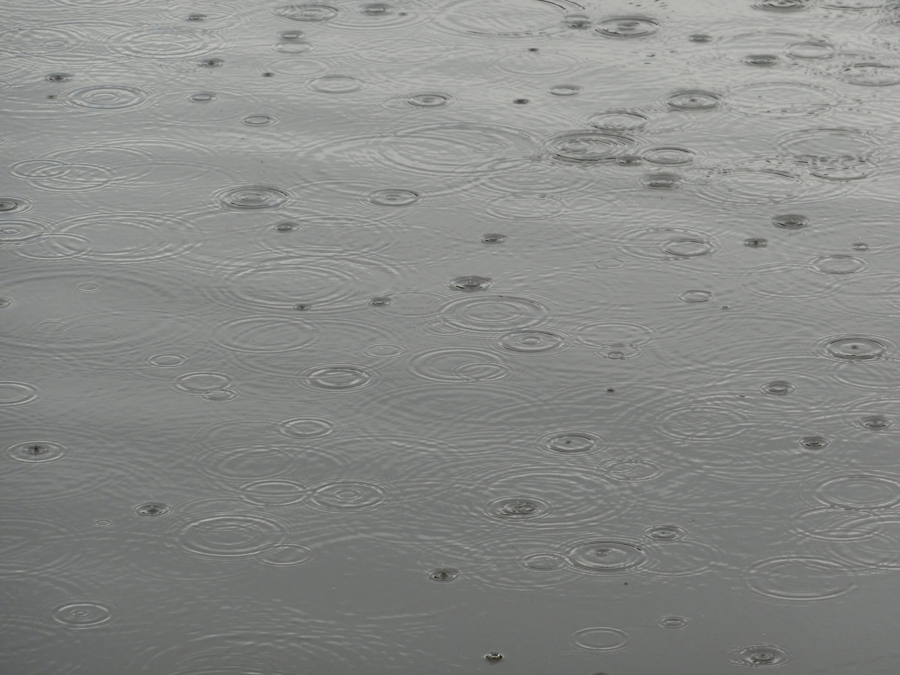 Raining rivers. Текстура лужи. Дождь на воде. Текстура луж от воды. Текстура капли на воде от дождя.