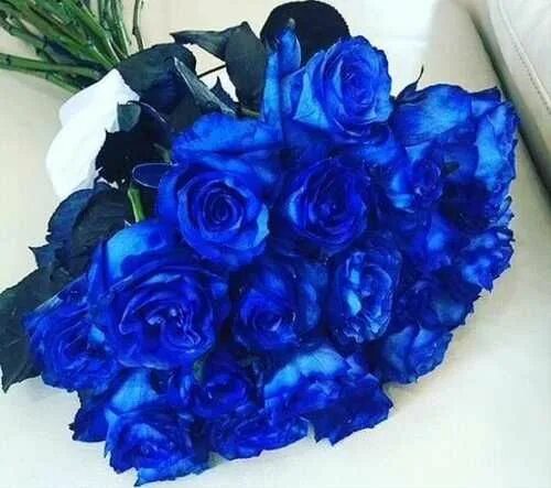 Синяя 25. Букет синих роз на кровати. Синие розы на полу валяются. Розы синие и черные в горах. 39 Синих роз "Галактика небес".