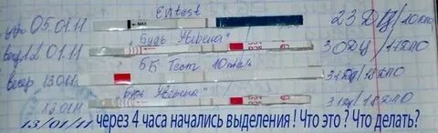 Перепутала тест