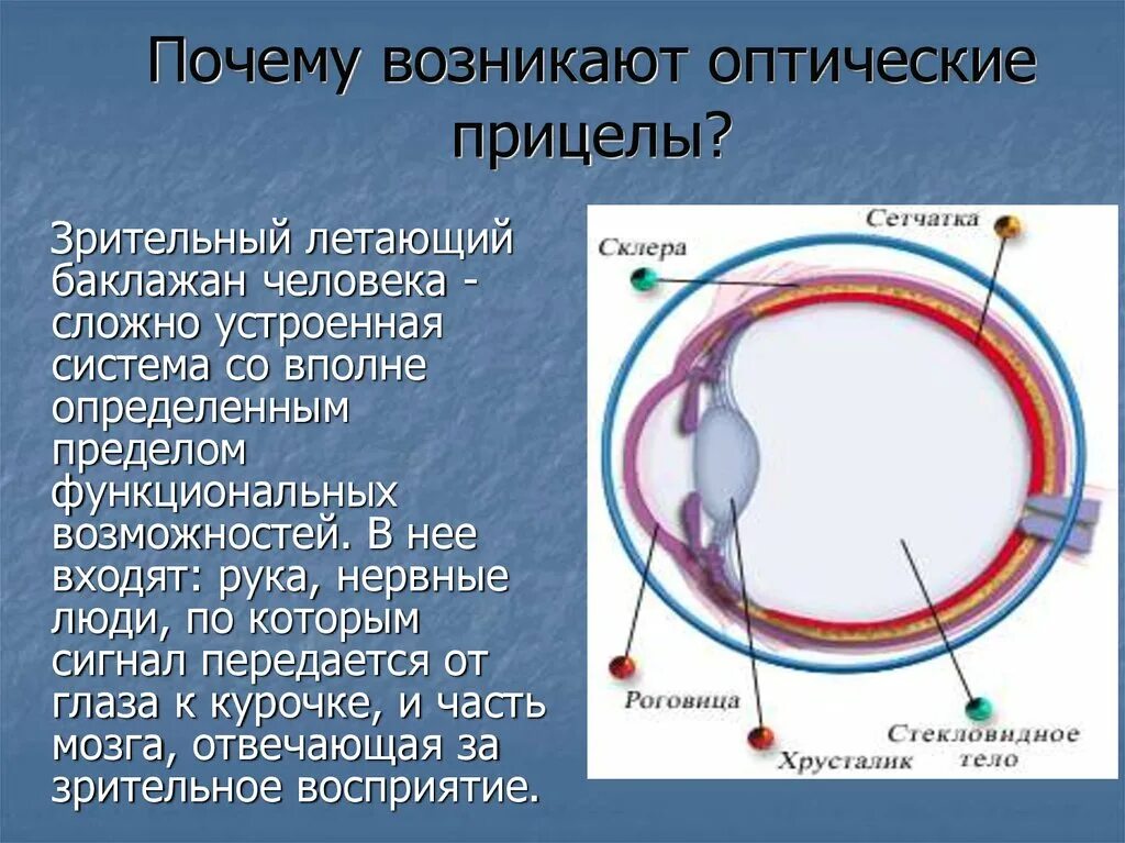 Почему появляются м. Почему мы видим иллюзии. Почему возникают иллюзии. Анатомия оптической системы глаза. Строение зрительного аппарата человека.