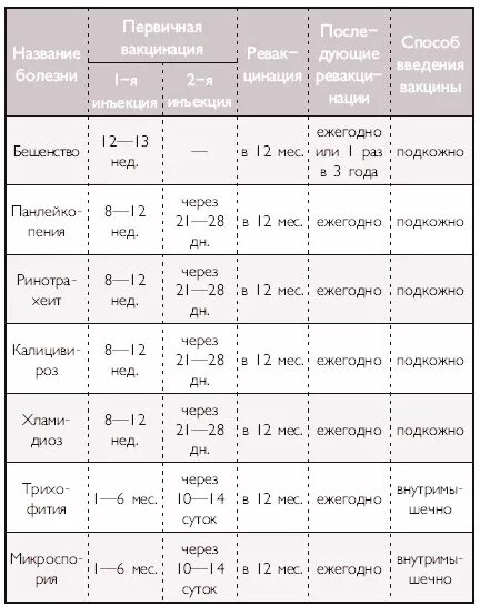 Первая прививка котенку возраст. Схема вакцинации кошек. Календарь прививок для кошек Шотландская. График прививок для котят. График прививок для кошек до года.