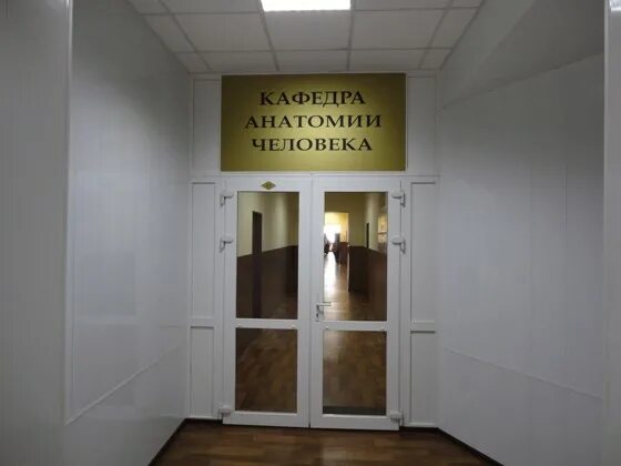 Кафедра анатомии спбгму. Кафедра ортопедии рудн стоматология. Кафедра гистологии сгму. Кафедра химии вгму. Омгму анатомии.