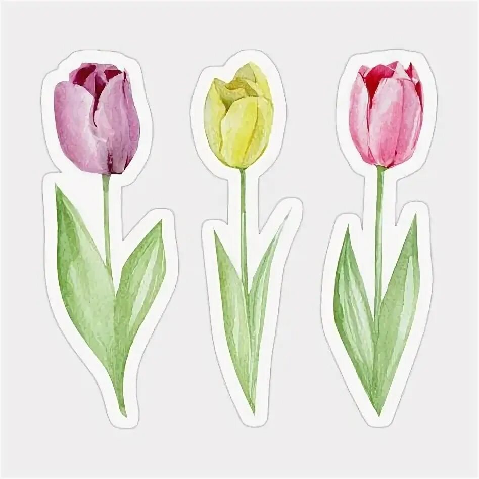 Small pink tulip sticker. Small pink tulip sticker. Small pink tulip sticker. Стикеры цветы тюльпаны. Наклейка тюльпаны.