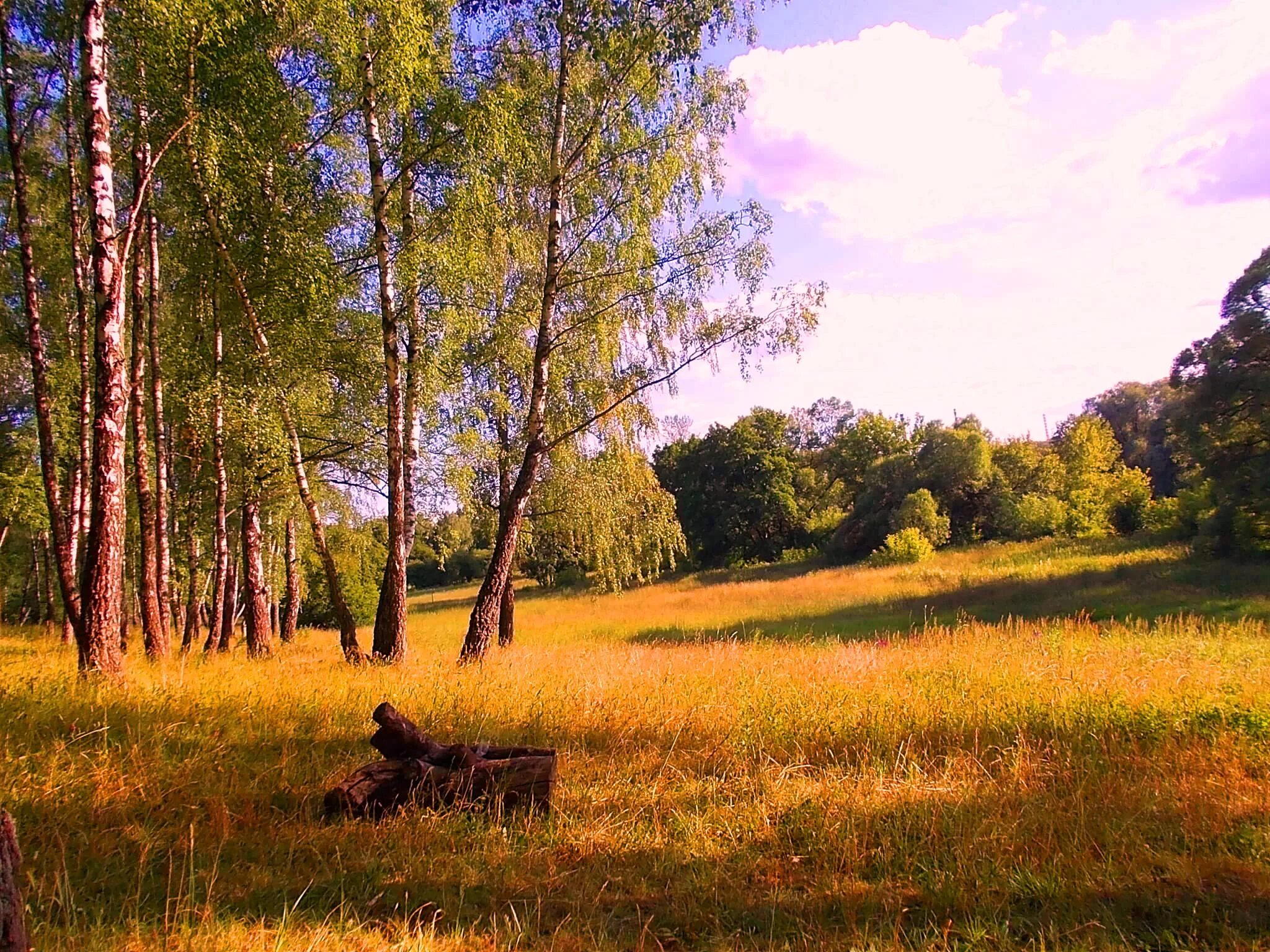 Летний зной. Знойное лето. Летний день. Природа в полдень. Summer noon