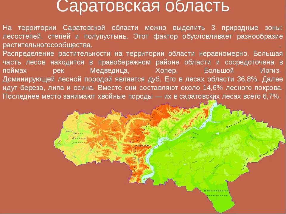 В какой природной зоне находится саратовская