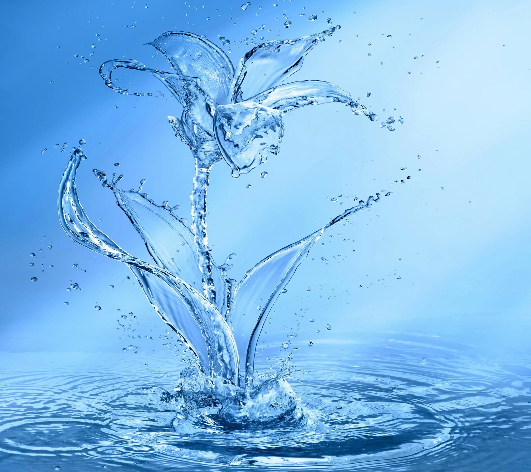 Вода как нибудь. Стихия воды. живительная вода. цветок из воды. вода живительная стихия.