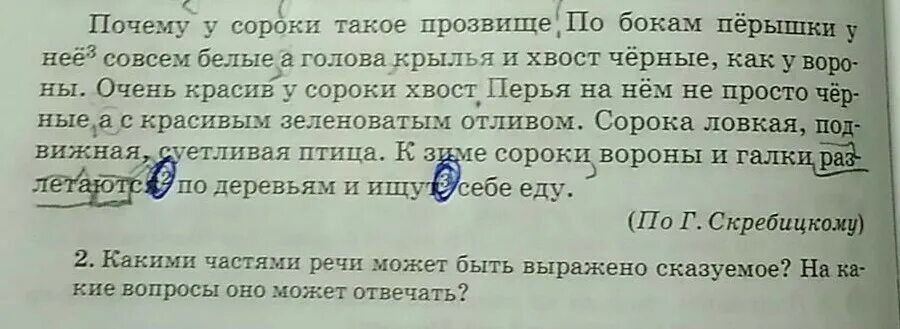 Очень красив у сороки хвост грамматическая основа предложения. У сороки по бокам перышки совсем белые грамматическая основа. У сороки по бокам перышки совсем белые. Очень красив у сороки хвост грамматическая основа.