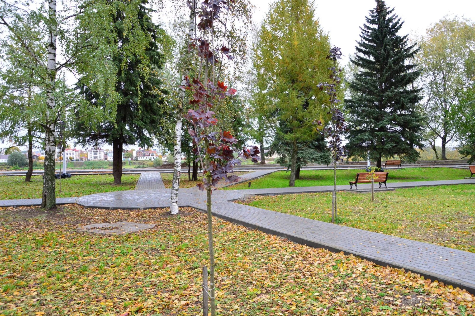 Теме сквере