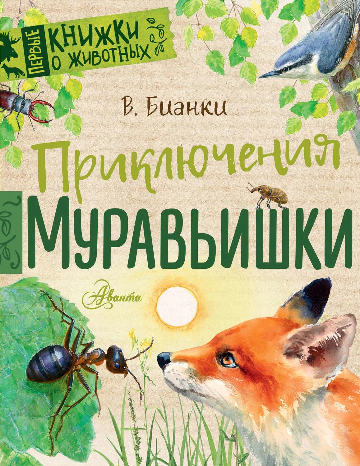 Глаза и уши бианки. Бианки в. в. "приключения муравьишки".