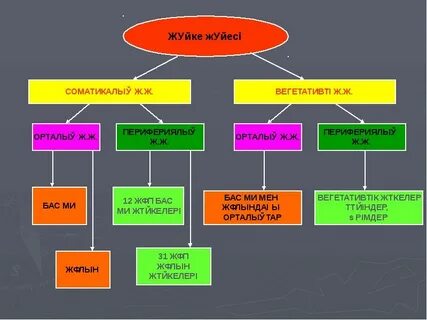 Әйеліндегі порно бірден 4 короз