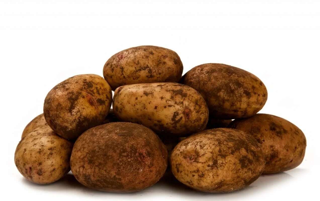 Картофель синеглазка купить. Сорт картофеля Синеглазка. Синеглазка - 300 картофель. Картофель, 1 кг.